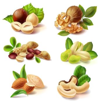 Free Vector _ Different nuts realistic set